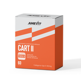 CART II – Movimento Sem Dor Começa Aqui